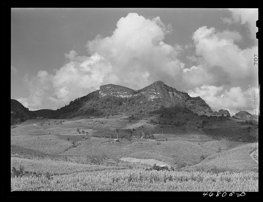 Corozal, Puerto Rico (vicinity). Small farms in the hill country