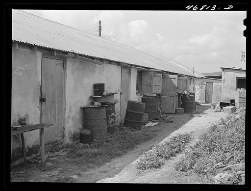 Untitled photo, possibly related to: Christiansted, Saint Croix Island, Virgin Islands (vicinity). At one of the slum "villages"