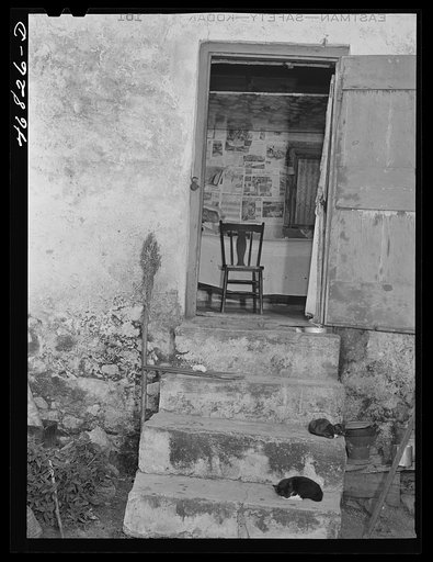 Christiansted, Saint Croix Island, Virgin Islands (vicinity). At one of the slum "villages"