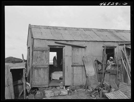 Christiansted, Saint Croix Island, Virgin Islands (vicinity). At one of the slum "villages"