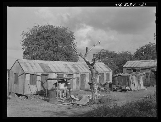 Untitled photo, possibly related to: Christiansted, Saint Croix Island, Virgin Islands (vicinity). At one of the slum "villages"