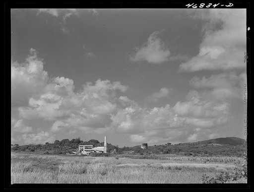 Christiansted, Saint Croix Island, Virgin Islands (vicinity). A recently-completed abattoir