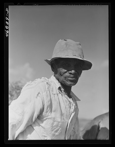 Christiansted, Saint Croix Island, Virgin Islands (vicinity). FSA (Farm Security Administration) borrower