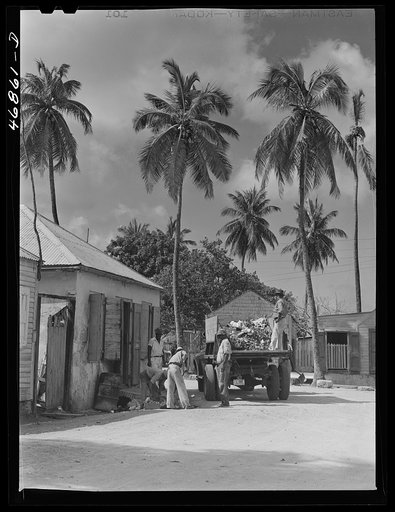 Christiansted, Saint Croix Island, Virgin Islands. Collecting garbage from one of the open sewers