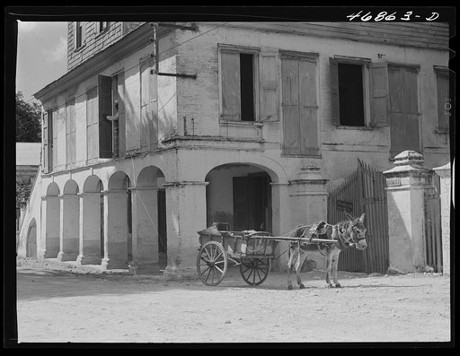 Christiansted, Saint Croix Island, Virgin Island. Along a street