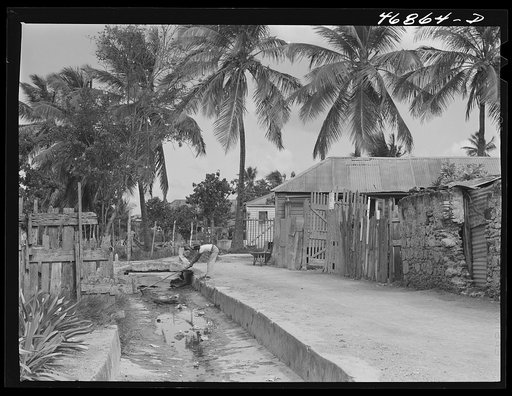 Christiansted, Saint Croix Island, Virgin Islands. Collecting garbage from an open sewer