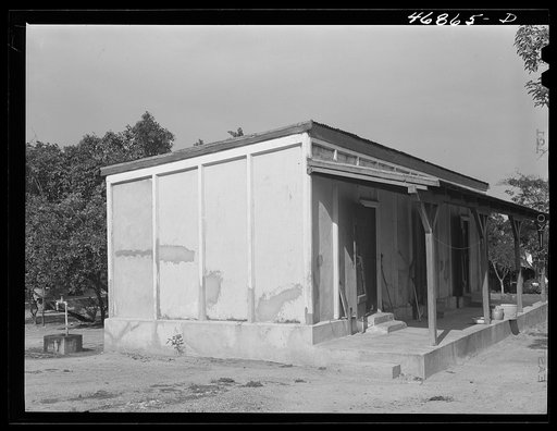 Untitled photo, possibly related to: Christiansted (vicinity), Saint Croix Island, Virgin Islands. In the leper colony