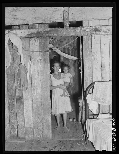 Saint Croix Island, Virgin Islands. Puerto Rican woman and her children, FSA (Farm Security Administration) borrower, living in the slum village of "Barren Spot"