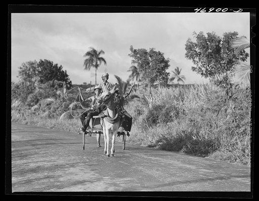 Bethlehem (vicinity), Saint Croix Island, Virgin Islands. Children going home from school by donkey cart