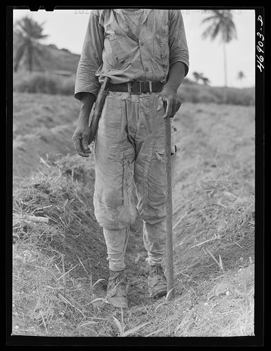Christiansted (vicinity), Saint Croix Island, Virgin Islands. Outfit worn by a farmer who was planting sugar cane
