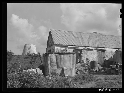 Christiansted (vicinity), Saint Croix Island, Virgin Island. Village house and abandoned sugar tower