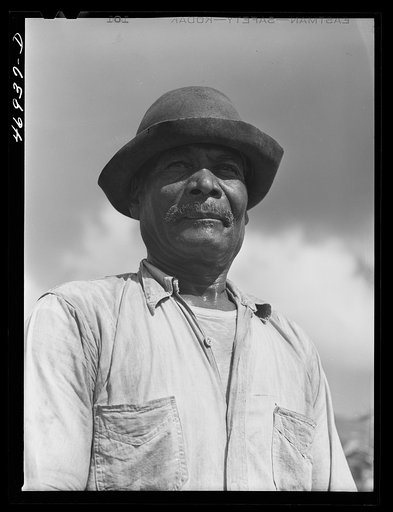 Frederiksted (vicinity), Saint Croix Island, Virgin Islands. FSA (Farm Security Administration) borrower
