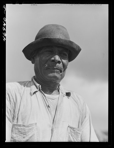 Untitled photo, possibly related to: Frederiksted (vicinity), Saint Croix Island, Virgin Islands. FSA (Farm Security Administration) borrower