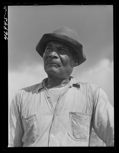 Untitled photo, possibly related to: Frederiksted (vicinity), Saint Croix Island, Virgin Islands. FSA (Farm Security Administration) borrower