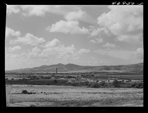 Bethlehem (vicinity), Saint Croix Island, Virgin Islands. Sugar fields. In the background is the Bethlehem sugar mill