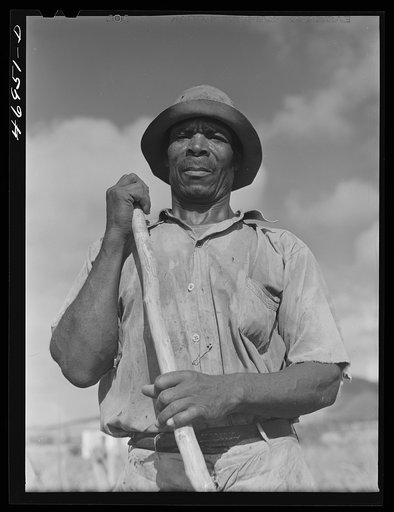 Frederiksted (vicinity), Saint Croix Island, Virgin Islands. FSA (Farm Security Administration) borrower