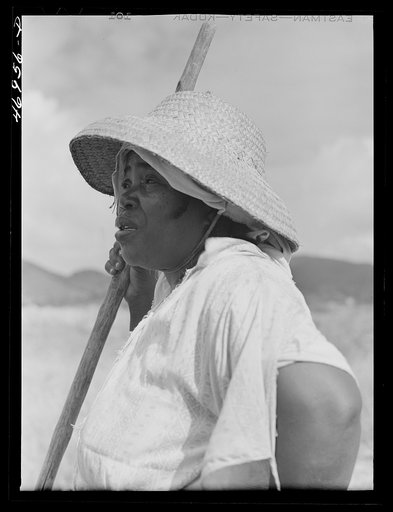 Untitled photo, possibly related to: Frederiksted (vicinity), Saint Croix, Virgin Islands. FSA (Farm Security Administration) borrower and his wife cultivating sugar cane on their farm