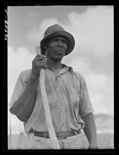 Untitled photo, possibly related to: Frederiksted (vicinity), Saint Croix Island, Virgin Islands. FSA (Farm Security Administration) borrower