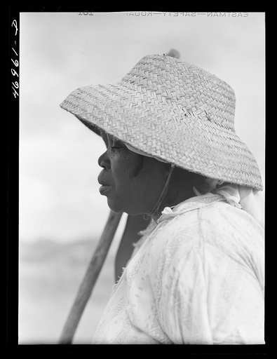 Untitled photo, possibly related to: Frederiksted (vicinity), Saint Croix, Virgin Islands. FSA (Farm Security Administration) borrower and his wife cultivating sugar cane on their farm