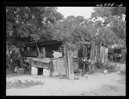 Christiansted (vicinity), Saint Croix Island, Virgin Islands. Chicken coops constructed with odds and ends by occupants of the leper colony
