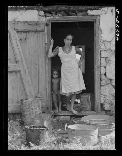 Untitled photo, possibly related to: Saint Croix Island, Virgin Islands. Puerto Rican woman and her children, FSA (Farm Security Administration) borrower, living in the slum village of "Barren Spot"