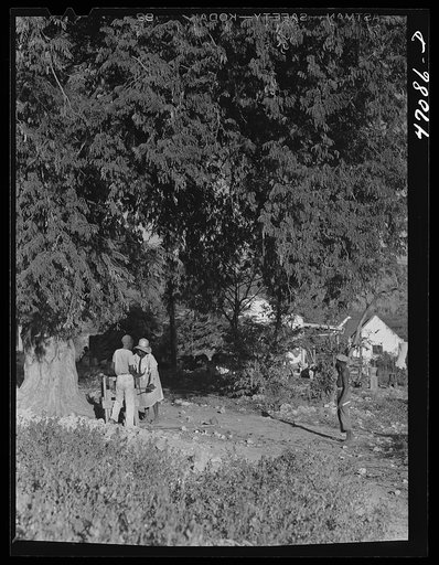 Bethlehem, Saint Croix Island, Virgin Islands (vicinity). Sharpening a machete in a small village
