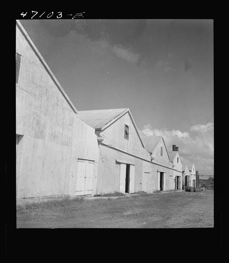 Untitled photo, possibly related to: Christiansted, Saint Croix Island, Virgin Islands (vicinity). Sugar mill of the Virgin Islands Company