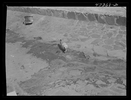 Untitled photo, possibly related to: Charlotte Amalie, St. Thomas Island, Virgin Islands. One of the open sewers