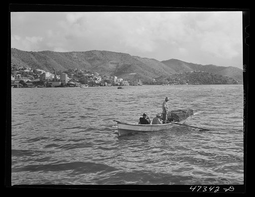 French village, a small settlement on Saint Thomas Island, Virgin Islands. Fisherman from the French village, a small settlement, with the day's catch