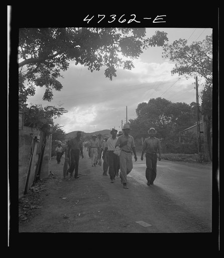 Saint Thomas Island, Virgin Islands. Men coming home from work at the Naval base