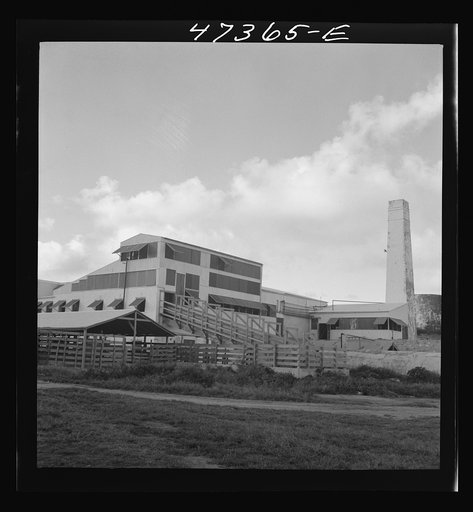 Untitled photo, possibly related to: Christiansted, Saint Croix Island, Virgin Islands (vicinity). The recently built abattoir