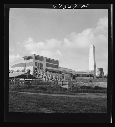 Christiansted, Saint Croix Island, Virgin Islands (vicinity). The recently built abattoir