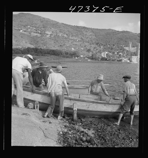 Untitled photo, possibly related to: French village, a small settlement on Saint Thomas Island, Virgin Islands. Fisherman from the French village, a small settlement, with the day's catch