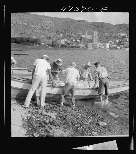 Untitled photo, possibly related to: French village, a small settlement on Saint Thomas Island, Virgin Islands. Fisherman from the French village, a small settlement, with the day's catch