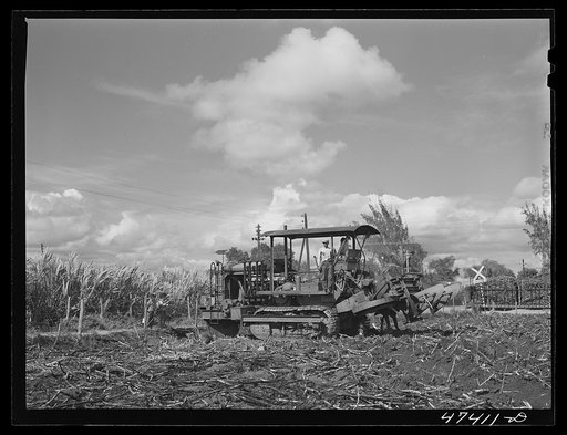 Untitled photo, possibly related to: Guanica, Puerto Rico (vicinity). A "gyrotiller" plowing a sugar cane field