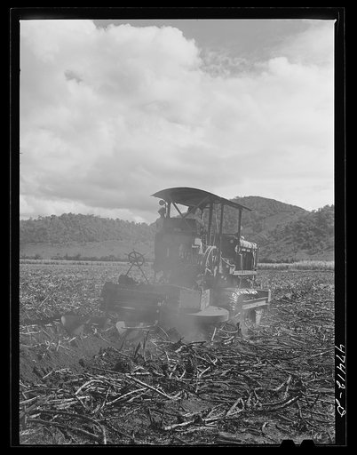 Untitled photo, possibly related to: Guanica, Puerto Rico (vicinity). A "gyrotiller" plowing a sugar cane field