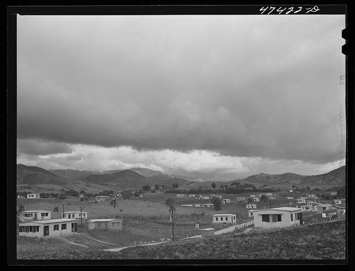 Yauco, Puerto Rico. Federal housing project on the outskirts of the town.  About an acre of land for gardens is provided with each house