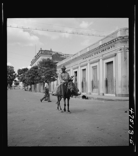 Yauco, Puerto Rico. Horses are the most widely used means of transportation for farmers who live in the hills