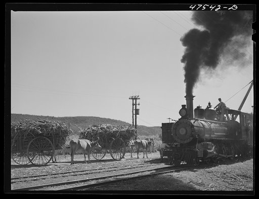 Guanica, Puerto Rico (vicinity). Freight train used in hauling cane to the sugar mills from loading stations