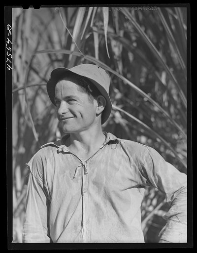 Guanica, Puerto Rico (vicinity). Farm laborer employed in cutting sugar cane at one dollar and fifty-one cents per day