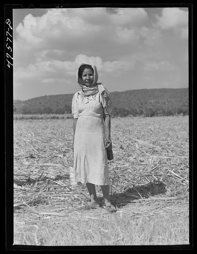 Guanica, Puerto Rico (vicinity). Sugar laborer's wife bringing his lunch to him in the fields