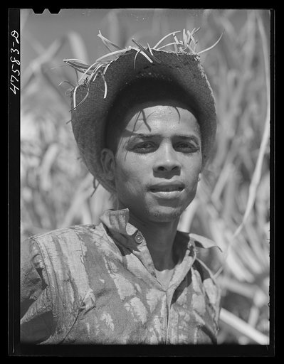 Guanica, Puerto Rico (vicinity). Farm laborer employed in cutting sugar cane at one dollar and fifty-one cents per day