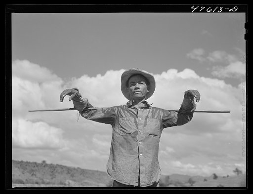 Guanica, Puerto Rico (vicinity). An ox cart driver with a staff used for directing the oxen in a sugar field
