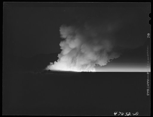 Untitled photo, possibly related to: Guanica, Puerto Rico (vicinity). Burning a sugar cane field. This is a process that destroys the leaves and makes the sugar cane easier to harvest