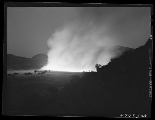 Untitled photo, possibly related to: Guanica, Puerto Rico (vicinity). Burning a sugar cane field. This is a process that destroys the leaves and makes the sugar cane easier to harvest