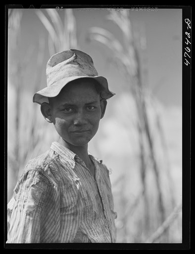 Guanica, Puerto Rico (vicinity). Young sugar worker in a field