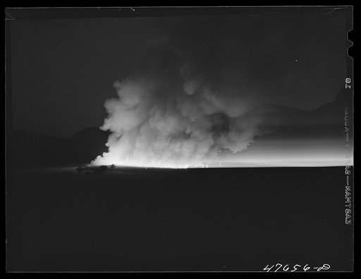 Untitled photo, possibly related to: Guanica, Puerto Rico (vicinity). Burning a sugar cane field. This is a process that destroys the leaves and makes the sugar cane easier to harvest