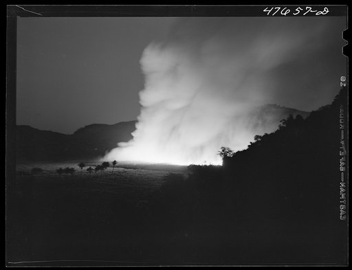 Untitled photo, possibly related to: Guanica, Puerto Rico (vicinity). Burning a sugar cane field. This is a process that destroys the leaves and makes the sugar cane easier to harvest
