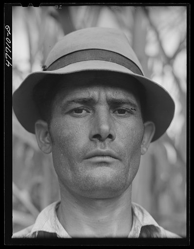 Yauco, Puerto Rico (vicinity). Farm laborer who was cutting cane in a field