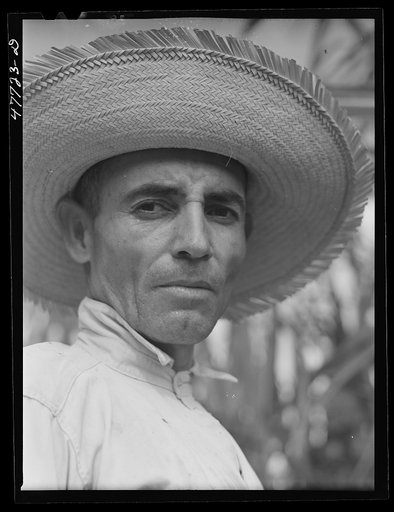 Yauco, Puerto Rico (vicinity). Farm laborer who was cutting cane in a sugar field
